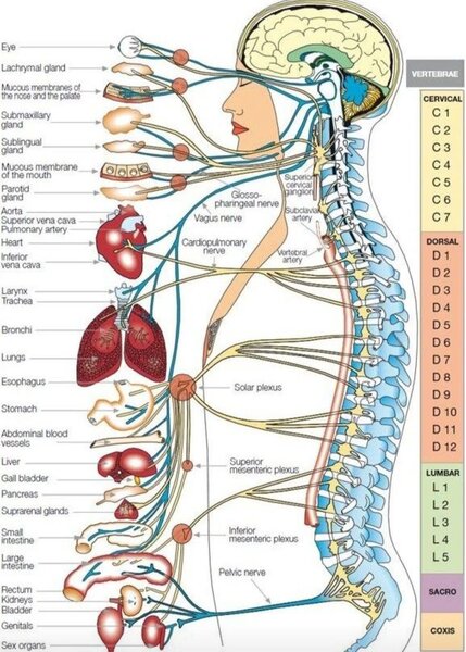 Masaj la domiciliu sau hotel in Bucuresti/Ilfov